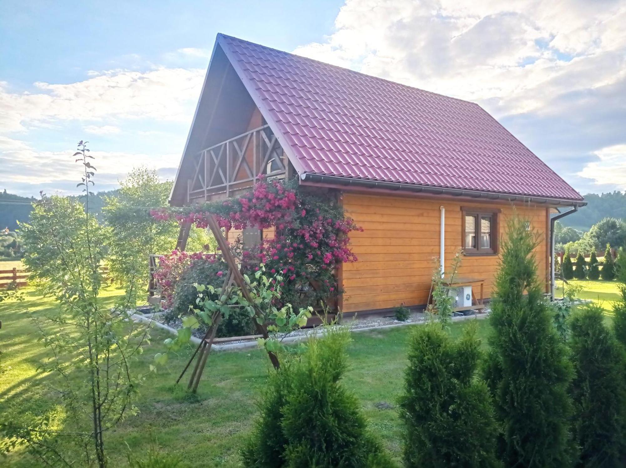 Apartment Letniskowy Pod Rozami
