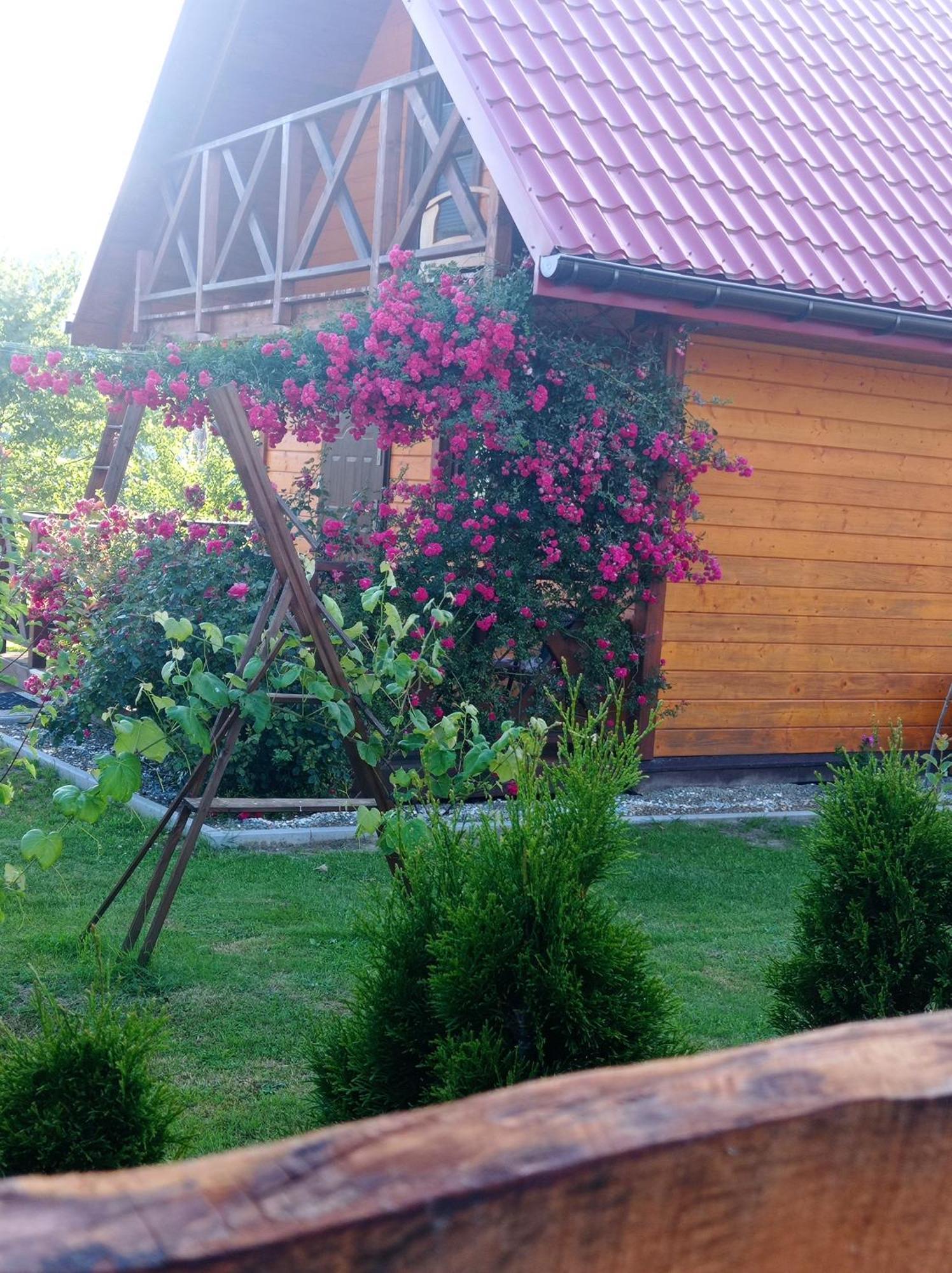 Letniskowy Pod Rozami Apartment Myczkowce